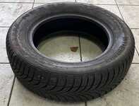Nexen Winguard Snow'G WH2 195/65 R15 91T