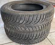 Nokian WR D3 185/65 R15 88T