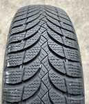 Nexen Winguard Snow'G WH2 165/70 R13 79T