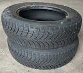 Nexen Winguard Snow'G WH2 165/70 R13 79T