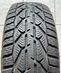Orium Winter 195/65 R15 91T