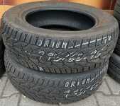 Orium Winter 195/65 R15 91T